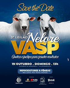 3º Leilão Nelore VASP